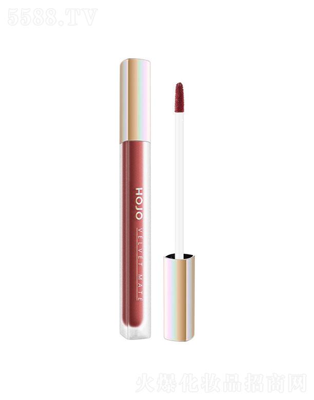 HOJO�ƶ��p�F���ⴽ��