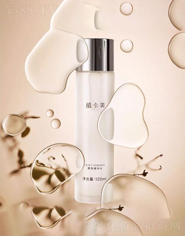 ֲ������ĸ���Aˮ