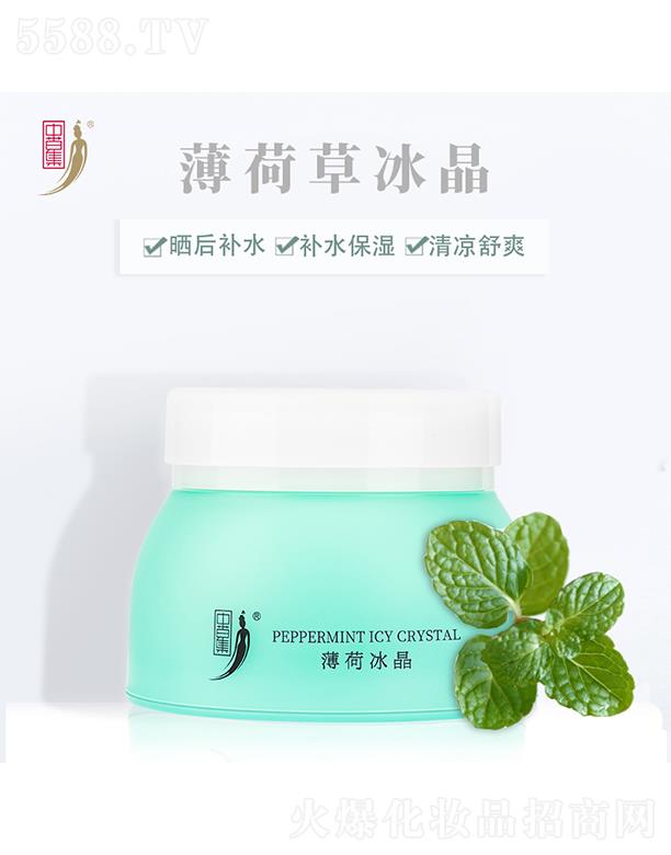 �вݼ����ɱ���