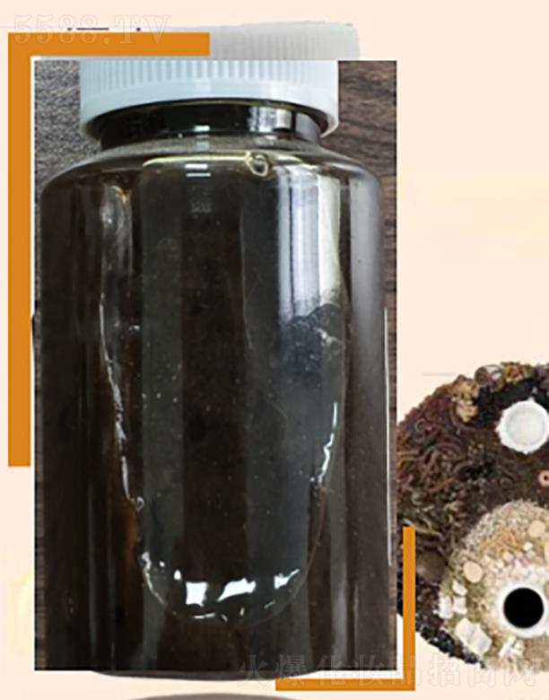 ��ˎ�B(y��ng)�Ĥ