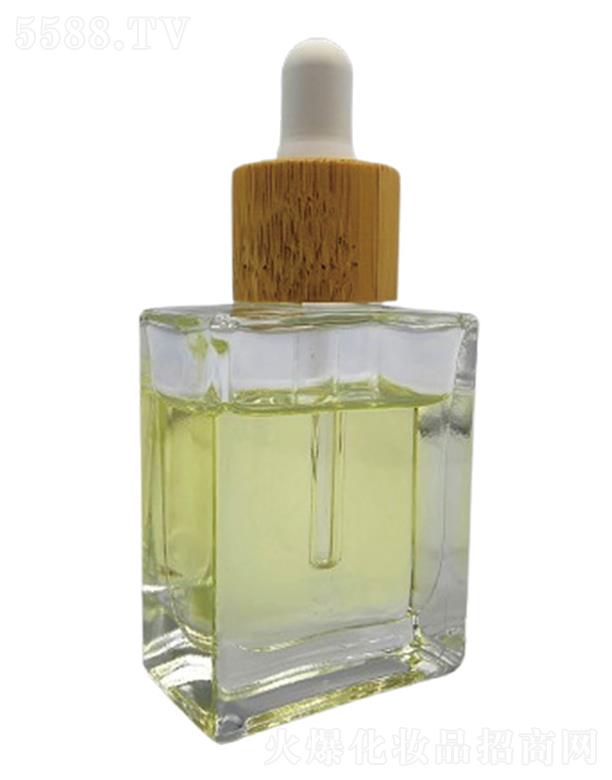 ���ܷeѩ��