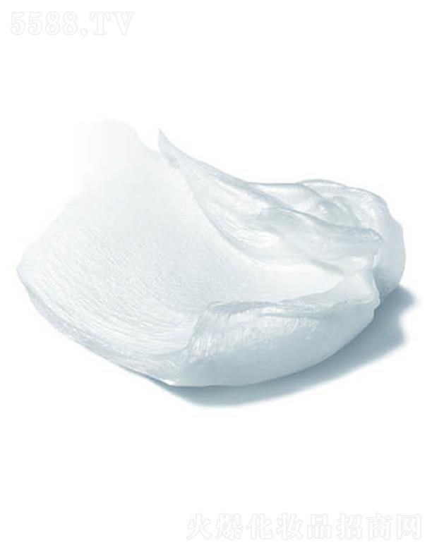 ANCORS���������