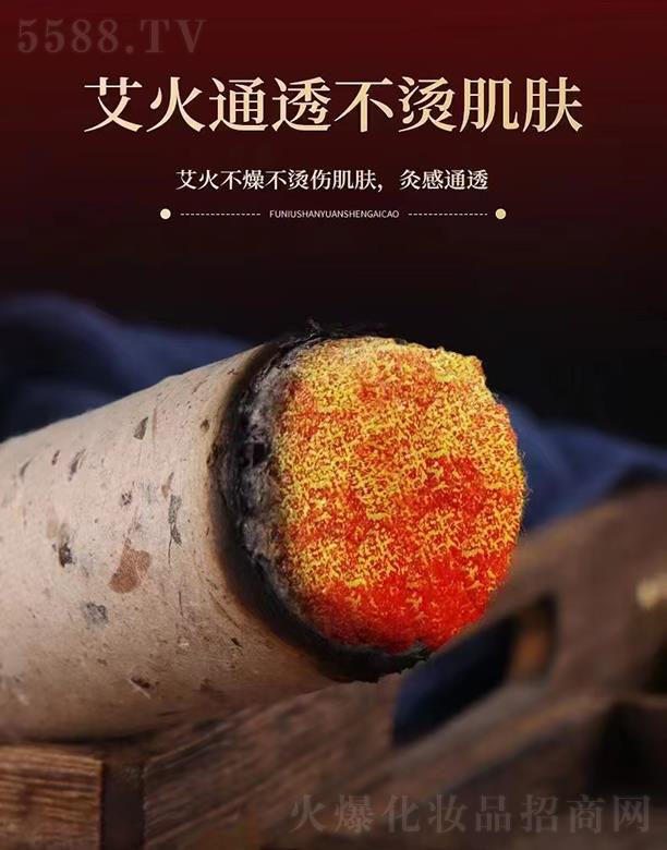 ���ϱP�Ű�ʯĥ���q