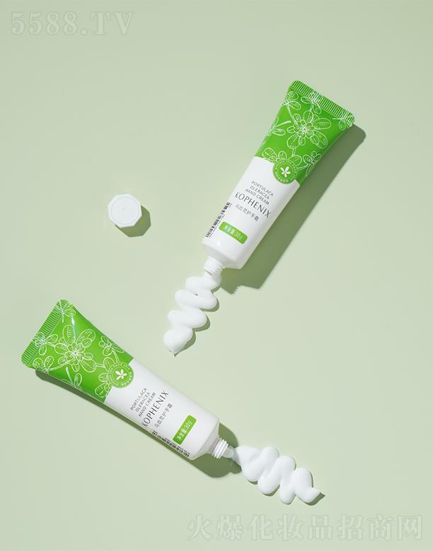 ���P���R�X�{�o(h��)��˪