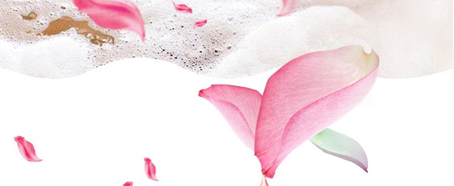 ������ԡ¶