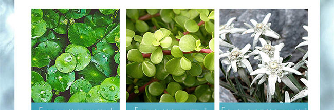 �f�͸߿ƽ�ĸֲ�;��A¶