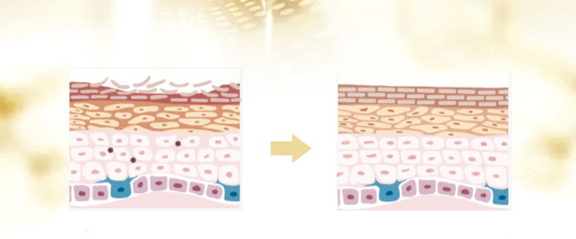 �nԊ(sh��)Ȫˮ����������