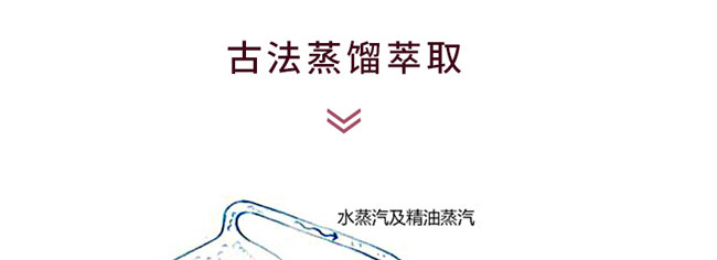 �؊}��޹�²ݼ�¶