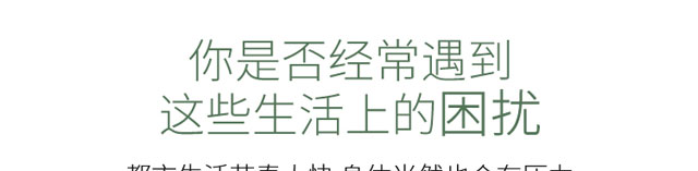 �t����ʮ�Ľ�(j��ng)�j�������F��