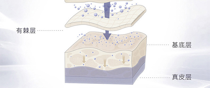 �n�����������o��