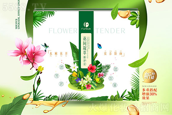 �t(y��)ʩ�����g�������o(h��)��