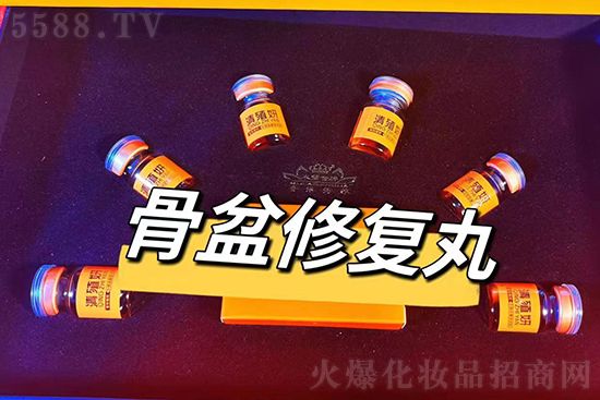 ��ۺ��Ź����ޏ�(f��)��